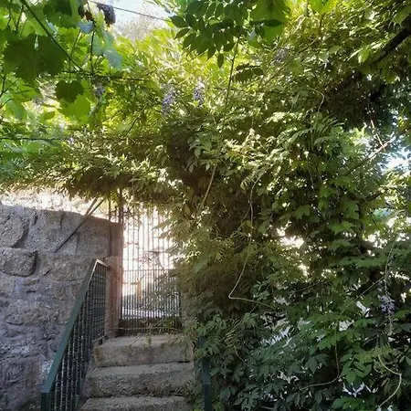 Quintinha Dos Cardosos Loureiro (Porto)